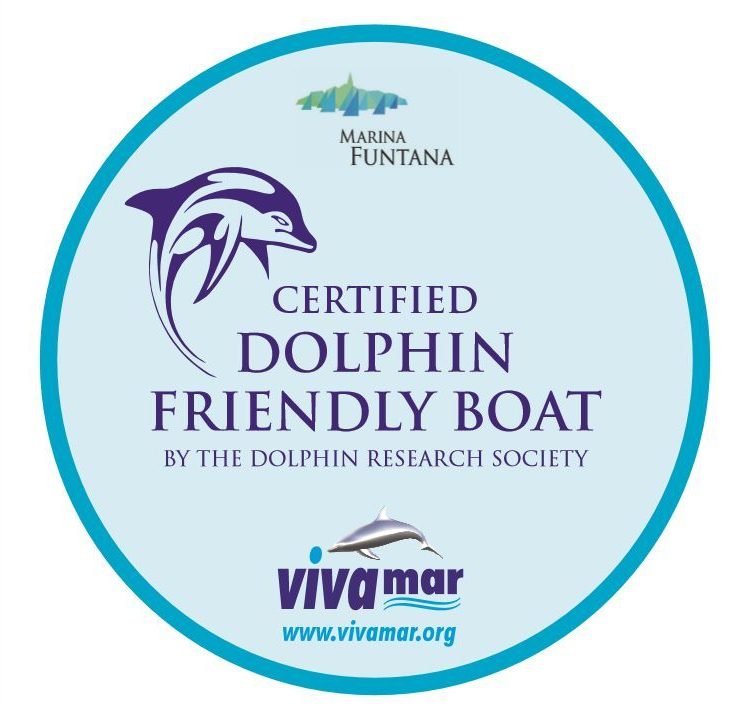 Volunteereco.org volunteer for dolphin conservation