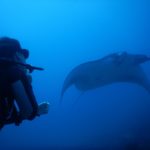 www.volunteereco.org Volunteer for Marine Conservation Indonesia manta encounter