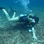 www.volunteereco.org Volunteer for Marine Conservation Indonesia ocean research