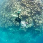 www.volunteereco.org Volunteer-for-a-Great-Barrier-Reef_Snorkeling enjoying while snorkeling