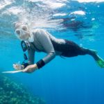 www.volunteereco.org Australia marine volunteer snorkelling