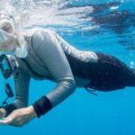 www.volunteereco.org Australia marine volunteer snorkeling survey slider