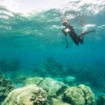 www.volunteereco.org Volunteer-for-a-Great-Barrier-Reef_Snorkeling data collection