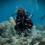www.volunteereco.org Volunteer - dive for sharks, rays, turtles Sulawesi_plastic polution