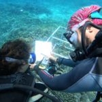 www.volunteereco.org Volunteer - dive for sharks, rays, turtles Sulawesi-underwater data collection