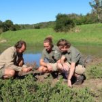 www.volunteereco.org volunteer-for-big-five-conservation-Team Leads