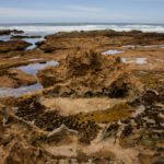 www.volunteereco.org volunteer-for-big-five-conservation beautiful coast for volunteer exploration
